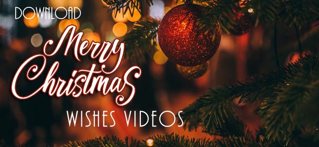 Featured image of post Merry Christmas Whatsapp Status Video Download / Merry christmas whatsapp video 9 merry christmas gift whatsapp status video download from here, you can download a lot of xmas tree whatsapp status and christmas tree.