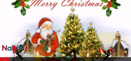 Happy Christmas Wishes Video Free Download
