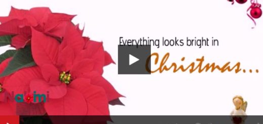 Nothing Feels Good Without You This Christmas