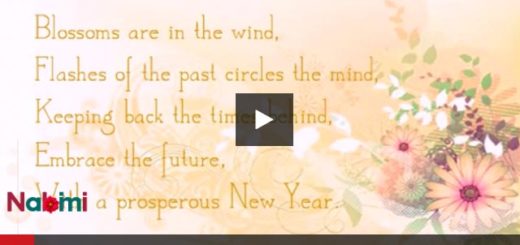 New Year Wishes for Lover Mp4 Video Status Download