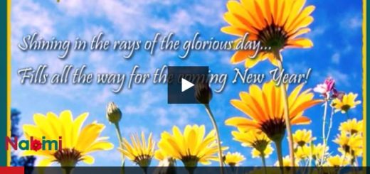 Download Videos nabimi HAPPY NEW YEAR / EVENTS AND HOLIDAYS Happy New Year From Our Family To Yours Video Download